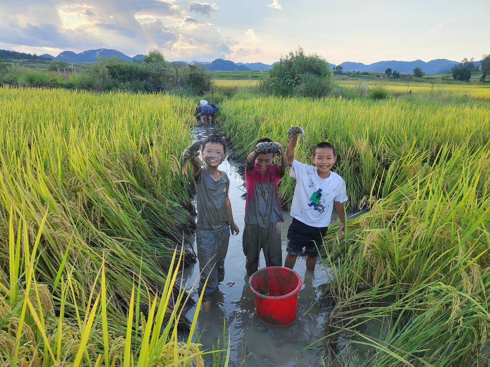 image.php_-4 image.php_-4