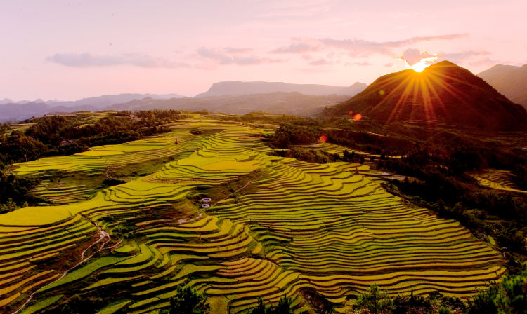 image.php_ image.php_